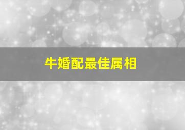 牛婚配最佳属相