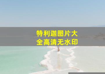 特利迦图片大全高清无水印