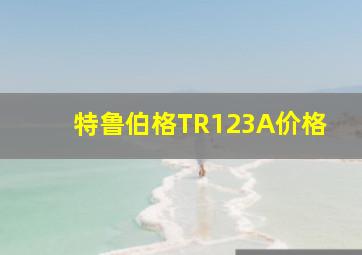 特鲁伯格TR123A价格