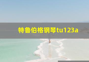 特鲁伯格钢琴tu123a