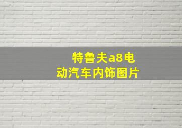 特鲁夫a8电动汽车内饰图片