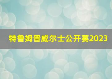 特鲁姆普威尔士公开赛2023