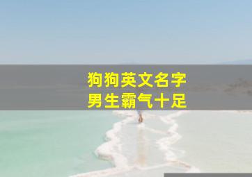 狗狗英文名字男生霸气十足