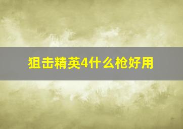 狙击精英4什么枪好用