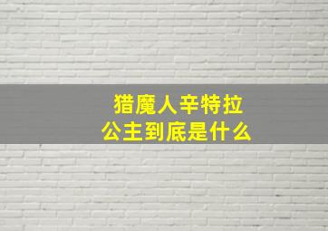 猎魔人辛特拉公主到底是什么