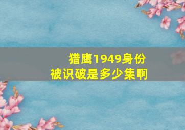 猎鹰1949身份被识破是多少集啊