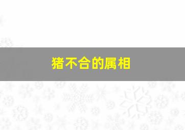 猪不合的属相