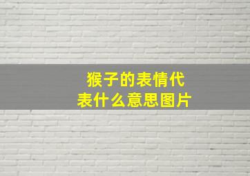 猴子的表情代表什么意思图片