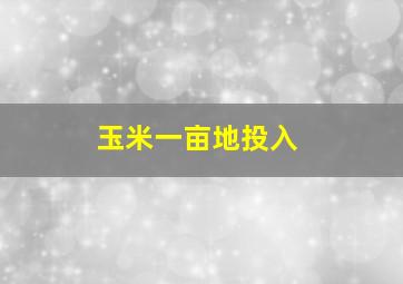 玉米一亩地投入