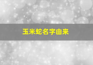 玉米蛇名字由来