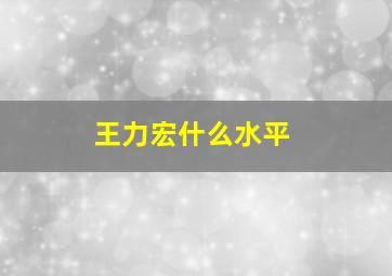 王力宏什么水平