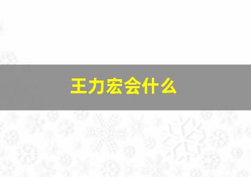 王力宏会什么