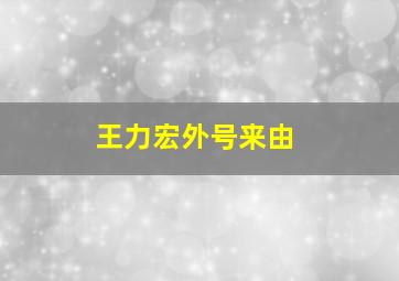 王力宏外号来由