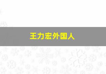 王力宏外国人