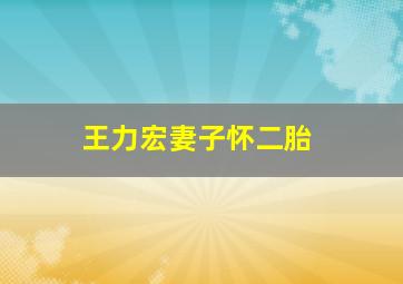 王力宏妻子怀二胎