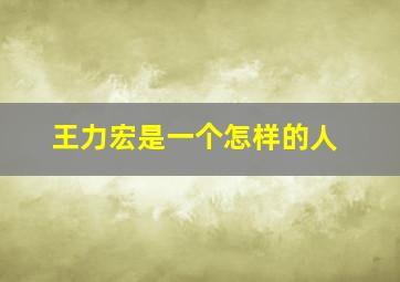 王力宏是一个怎样的人