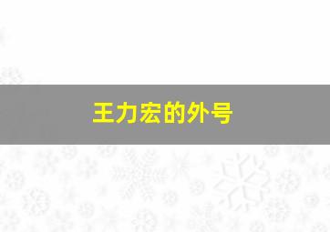 王力宏的外号