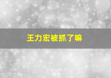 王力宏被抓了嘛