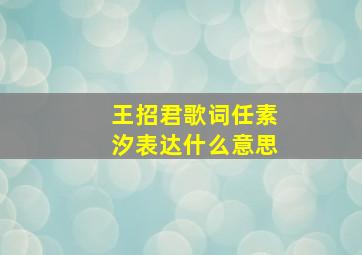 王招君歌词任素汐表达什么意思