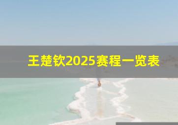 王楚钦2025赛程一览表