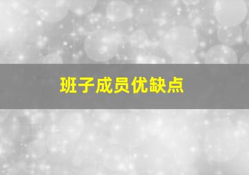 班子成员优缺点