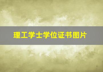 理工学士学位证书图片