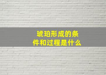 琥珀形成的条件和过程是什么