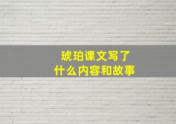 琥珀课文写了什么内容和故事