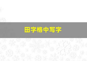 田字格中写字