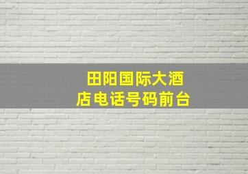 田阳国际大酒店电话号码前台