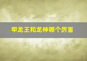 甲龙王和龙神哪个厉害