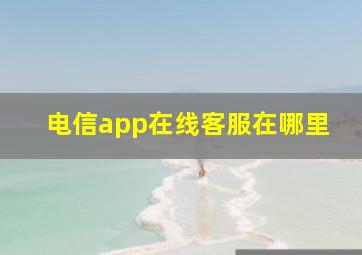 电信app在线客服在哪里