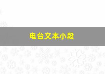 电台文本小段