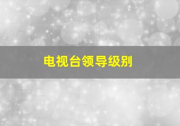 电视台领导级别