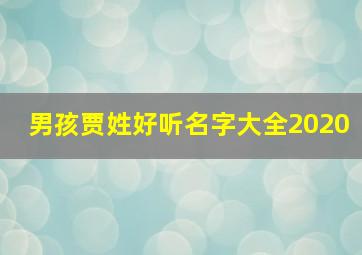 男孩贾姓好听名字大全2020