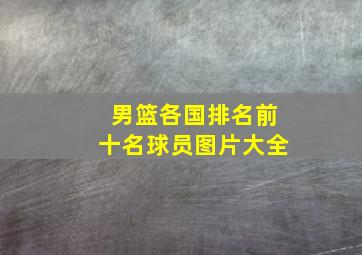 男篮各国排名前十名球员图片大全