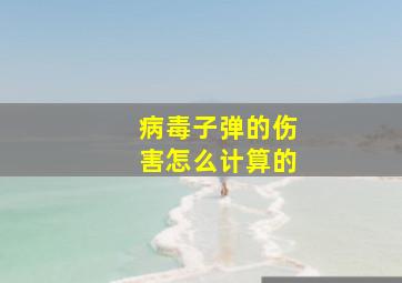 病毒子弹的伤害怎么计算的