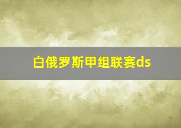 白俄罗斯甲组联赛ds