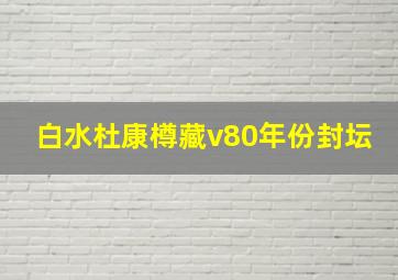 白水杜康樽藏v80年份封坛