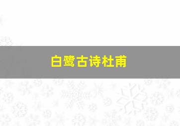 白鹭古诗杜甫