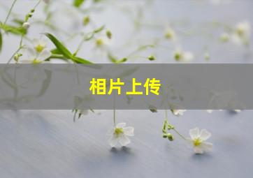 相片上传