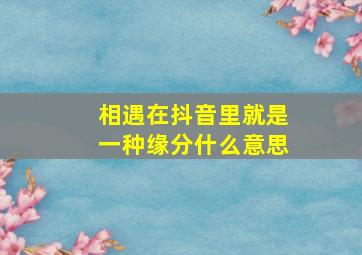 相遇在抖音里就是一种缘分什么意思