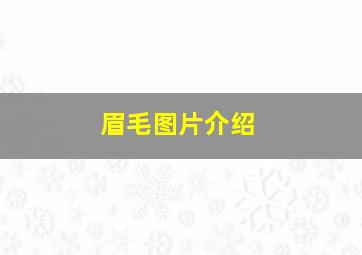 眉毛图片介绍