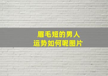 眉毛短的男人运势如何呢图片