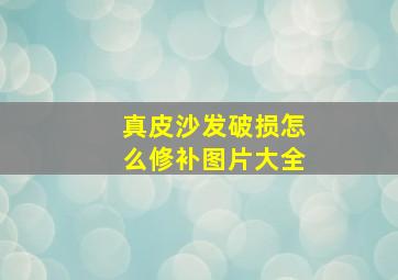 真皮沙发破损怎么修补图片大全