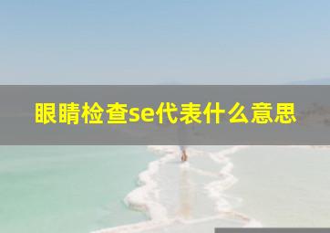 眼睛检查se代表什么意思