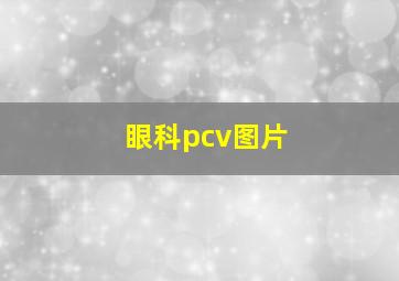 眼科pcv图片