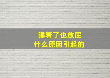 睡着了也放屁什么原因引起的