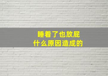 睡着了也放屁什么原因造成的