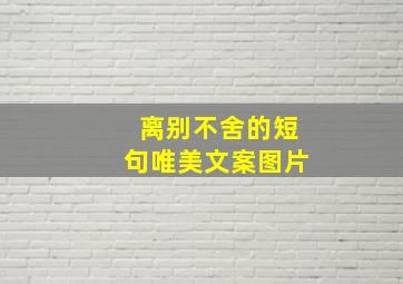 离别不舍的短句唯美文案图片